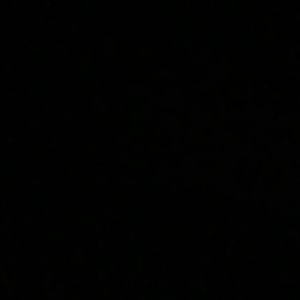 Meet your Posher, Carnell